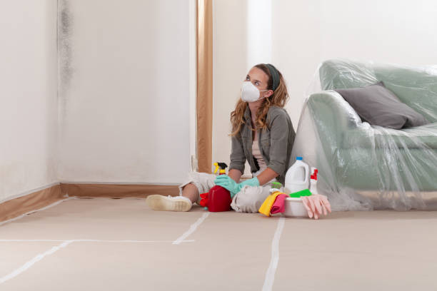 Reliable Mold Remediation contractor in Shrewsbury, NJ by Cheap Mold Removal